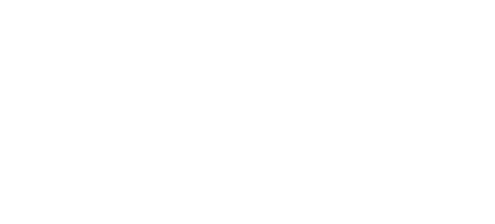 Stresemann Bar