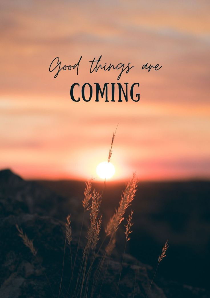 Gräser vor einem Sonnenuntergang, darüber der Schriftzug „Good things are coming"